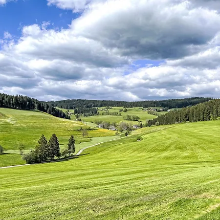 Apartamento Knoepfle By Interhome