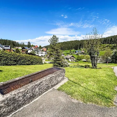 Knoepfle By Interhome Eisenbach (Breisgau-Hochschwarzwald)