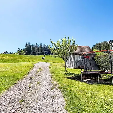 Apartment Fewo Knoepfle By Interhome Eisenbach (Breisgau-Hochschwarzwald)