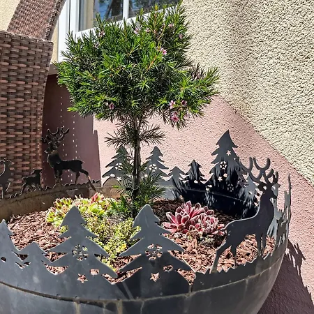 Apartmán Apartment Fewo Knoepfle By Interhome *