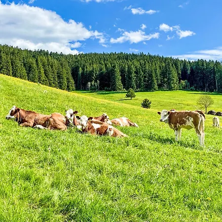 Apartamento Knoepfle By Interhome *