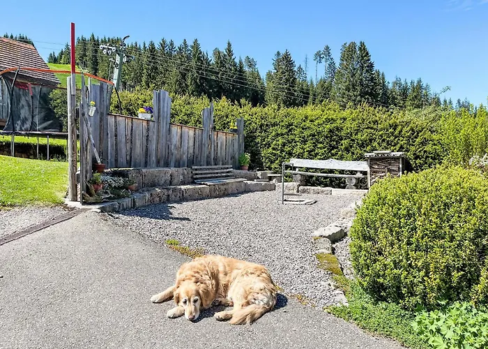 Knoepfle By Interhome Eisenbach (Breisgau-Hochschwarzwald)