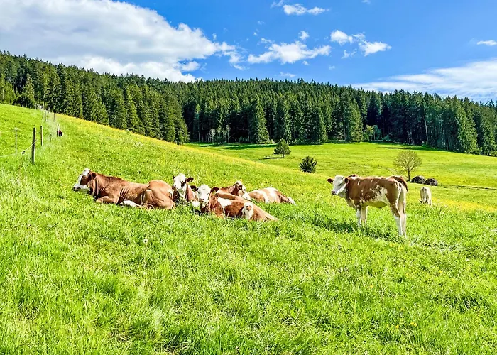 Lejlighed Knoepfle By Interhome *